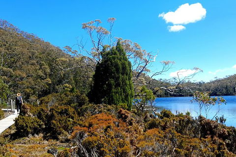 Mount Field National Park - Tarn Shelf & Russell Falls - Guided Hiking Tour - Darwin Holiday 3