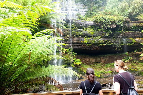 Mount Field National Park - Tarn Shelf & Russell Falls - Guided Hiking Tour - Darwin Holiday 4
