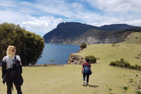 3-Day: Hobart Nature Walking Tour: Maria Island, Cape Raoul & Mount Field - Darwin Holiday 3