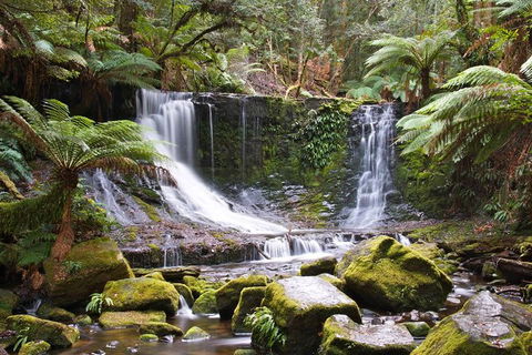 3-Day: Hobart Nature Walking Tour: Maria Island, Cape Raoul & Mount Field - Darwin Holiday 10
