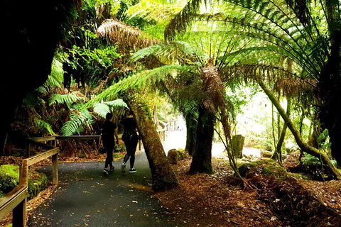 2-Day: Hiking Tour: Maria Island & Mount Field - Darwin Holiday 4