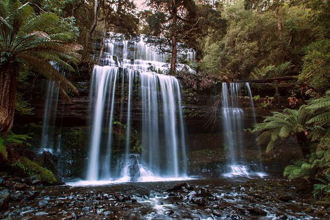 2-Day: Hiking Tour: Maria Island & Mount Field - Darwin Holiday 10