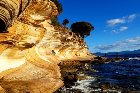 2-Day: Hiking Tour: Maria Island & Mount Field - Darwin Holiday 7