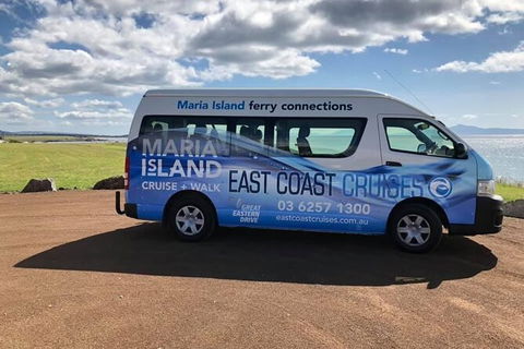 Maria Island Shuttle Bus Hobart To Triabunna (Round Trip) - Darwin Holiday 5