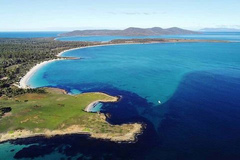 Maria Island Shuttle Bus Hobart To Triabunna (Round Trip) - Darwin Holiday 9