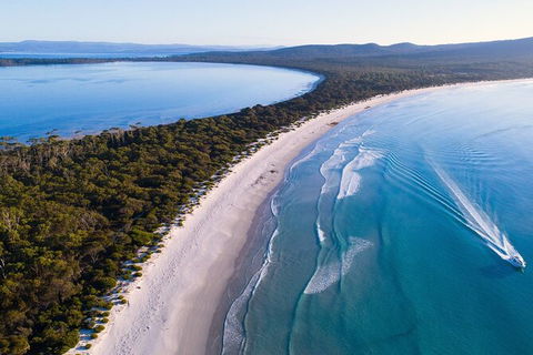 Maria Island Shuttle Bus Hobart To Triabunna (Round Trip) - Darwin Holiday 6