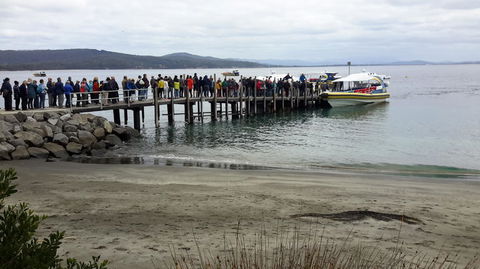 Full-Day Bruny Island Tour From Hobart - Darwin Holiday 4