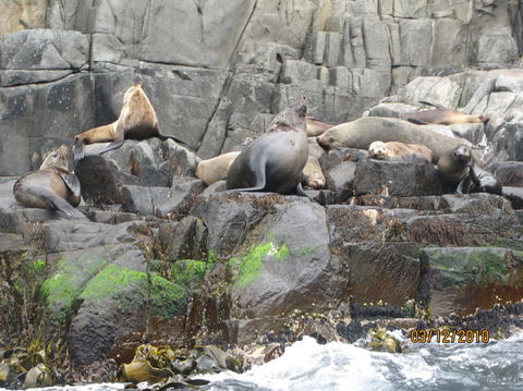 Full-Day Bruny Island Tour From Hobart - Darwin Holiday 2