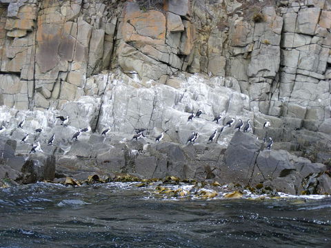 Full-Day Bruny Island Tour From Hobart - Darwin Holiday 24