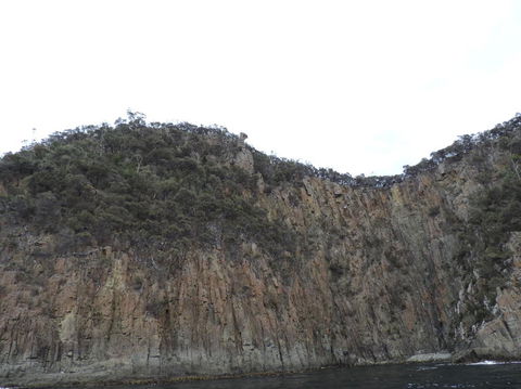 Full-Day Bruny Island Tour From Hobart - Darwin Holiday 12