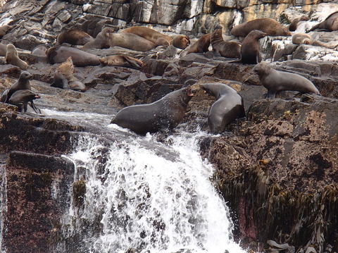 Full-Day Bruny Island Tour From Hobart - Darwin Holiday 21