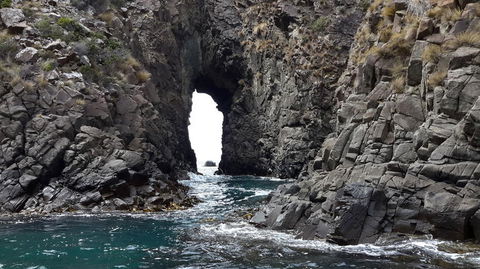Full-Day Bruny Island Tour From Hobart - Darwin Holiday 8