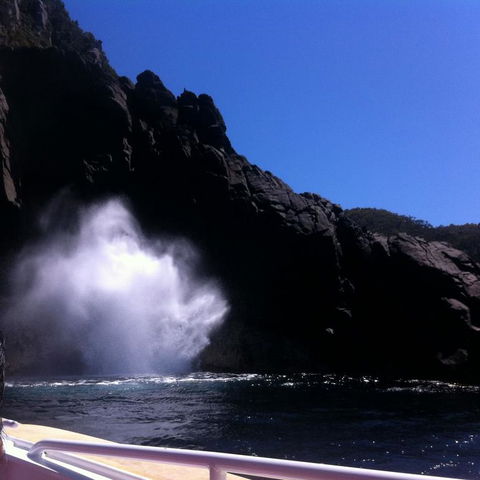 Full-Day Bruny Island Tour From Hobart - Darwin Holiday 18