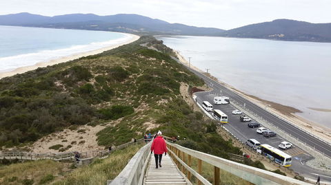 Full-Day Bruny Island Tour From Hobart - Darwin Holiday 7