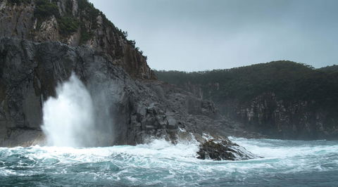 Full-Day Bruny Island Tour From Hobart - Darwin Holiday 22