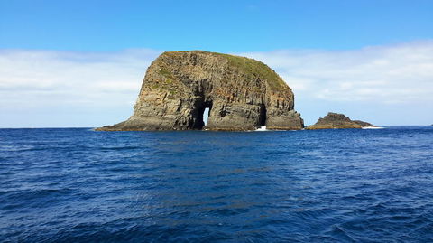 Full-Day Bruny Island Tour From Hobart - Darwin Holiday 5