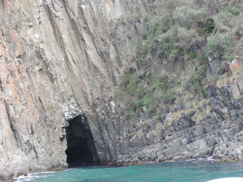 Full-Day Bruny Island Tour From Hobart - Darwin Holiday 13