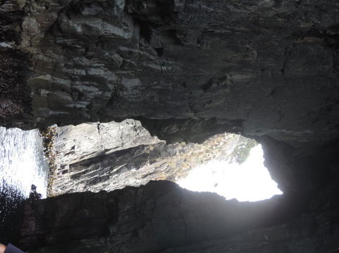 Full-Day Bruny Island Tour From Hobart - Darwin Holiday 9
