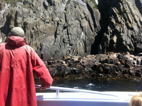 Full-Day Bruny Island Tour From Hobart - Darwin Holiday 19
