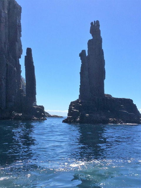 Full-Day Bruny Island Tour From Hobart - Darwin Holiday 16