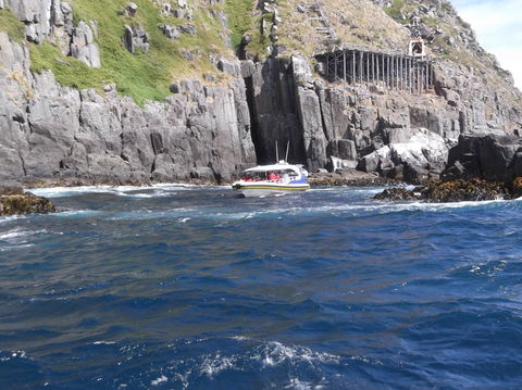 Day Trip To Tasman Peninsula And Port Arthur Historic Site From Hobart - Darwin Holiday 5