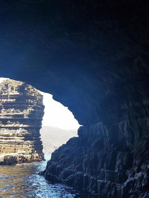 Day Trip To Tasman Peninsula And Port Arthur Historic Site From Hobart - Darwin Holiday 4