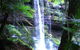 Mt Field National Park And Russell Falls From Hobart - thumb 1