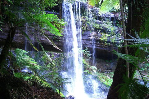 Mt Field National Park And Russell Falls From Hobart - Darwin Holiday 1