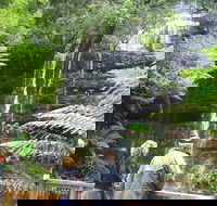 Mt Field National Park and Russell Falls from Hobart - Darwin Holiday