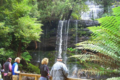 Mt Field National Park And Russell Falls From Hobart - Darwin Holiday 0