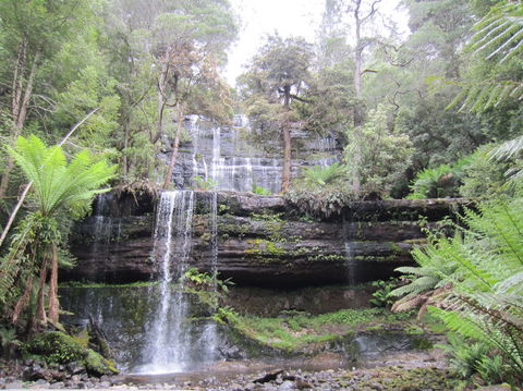 Mt Field National Park And Russell Falls From Hobart - Darwin Holiday 4