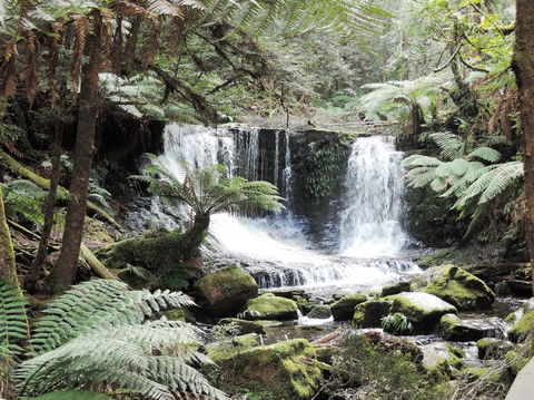 Mt Field National Park And Russell Falls From Hobart - Darwin Holiday 2
