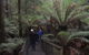Mt Field National Park And Russell Falls From Hobart - thumb 5