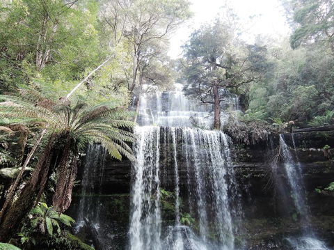 Mt Field National Park And Russell Falls From Hobart - Darwin Holiday 3