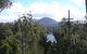 Huon Valley And Tahune Forest Airwalk Tour From Hobart - thumb 0