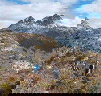 5-Day Tasmania West Coast Camping Tour Hobart to Launceston Including Mount Field National Park Tarkine and Cradle Mountain - Darwin Holiday