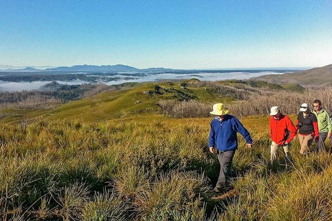 5-Day Tasmania West Coast Camping Tour: Hobart To Launceston Including Mount Field National Park, Tarkine And Cradle Mountain - Darwin Holiday 1