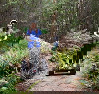 Hollybank Wilderness Adventures - Segway Tour - Darwin Holiday