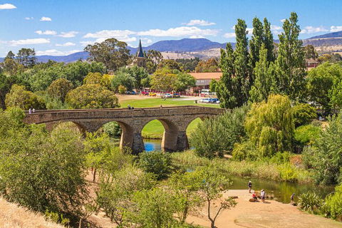 Wineglass Bay & Freycinet NP Full Day Tour From Hobart Via Richmond Village - Darwin Holiday 11