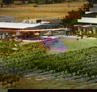 Home Hill Winery Helicopter Tour - Darwin Holiday