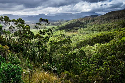 3-Day West Coast Tasmania Tour From Hobart Including Cradle Mountain, Montezuma Falls And Strahan - Darwin Holiday 6