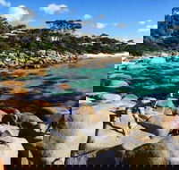 4-Day Tasmania East Coast Adventure from Launceston to Hobart Including Bay of Fires Wineglass Bay Bruny Island and Port Arthu - Darwin Holiday