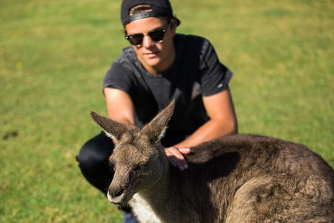 4-Day Tasmania East Coast Adventure From Launceston To Hobart Including Bay Of Fires, Wineglass Bay, Bruny Island And Port Arthu - Darwin Holiday 6