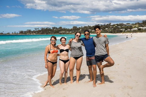 4-Day Tasmania East Coast Adventure From Launceston To Hobart Including Bay Of Fires, Wineglass Bay, Bruny Island And Port Arthu - Darwin Holiday 5