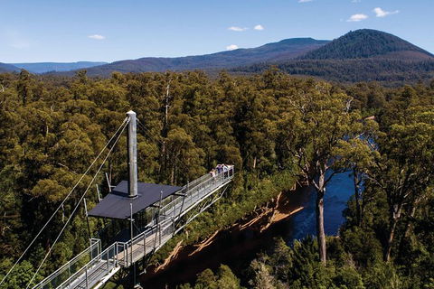 Cruise Ship Special From Hobart: Mt Wellington And Tahune AirWalk - Darwin Holiday 6