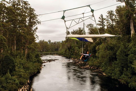 Cruise Ship Special From Hobart: Mt Wellington And Tahune AirWalk - Darwin Holiday 3