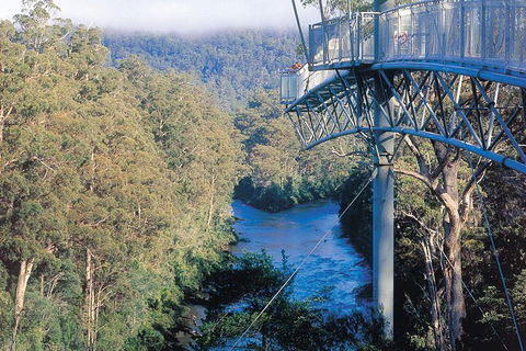 Small-groupTour From Hobart: Mt. Wellington, Huon Valley And Tahune AirWalk - Darwin Holiday 0