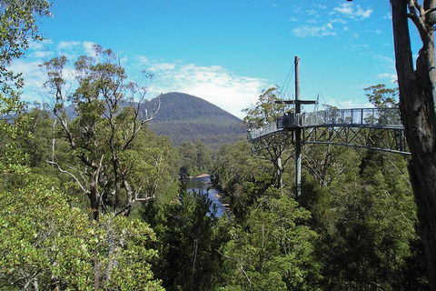 Small-groupTour From Hobart: Mt. Wellington, Huon Valley And Tahune AirWalk - Darwin Holiday 7