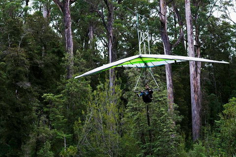Small-groupTour From Hobart: Mt. Wellington, Huon Valley And Tahune AirWalk - Darwin Holiday 4