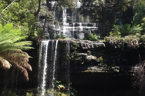 Private Mt Field National Park Day Trip From Hobart Including Salmon Ponds And Bonorong Wildlife Sanctuary - Darwin Holiday 0